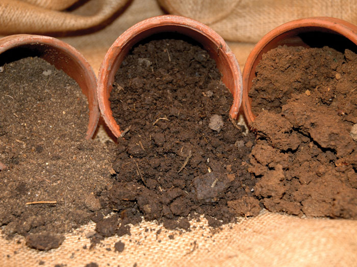 How Different Soil Types Impact Your Foundation