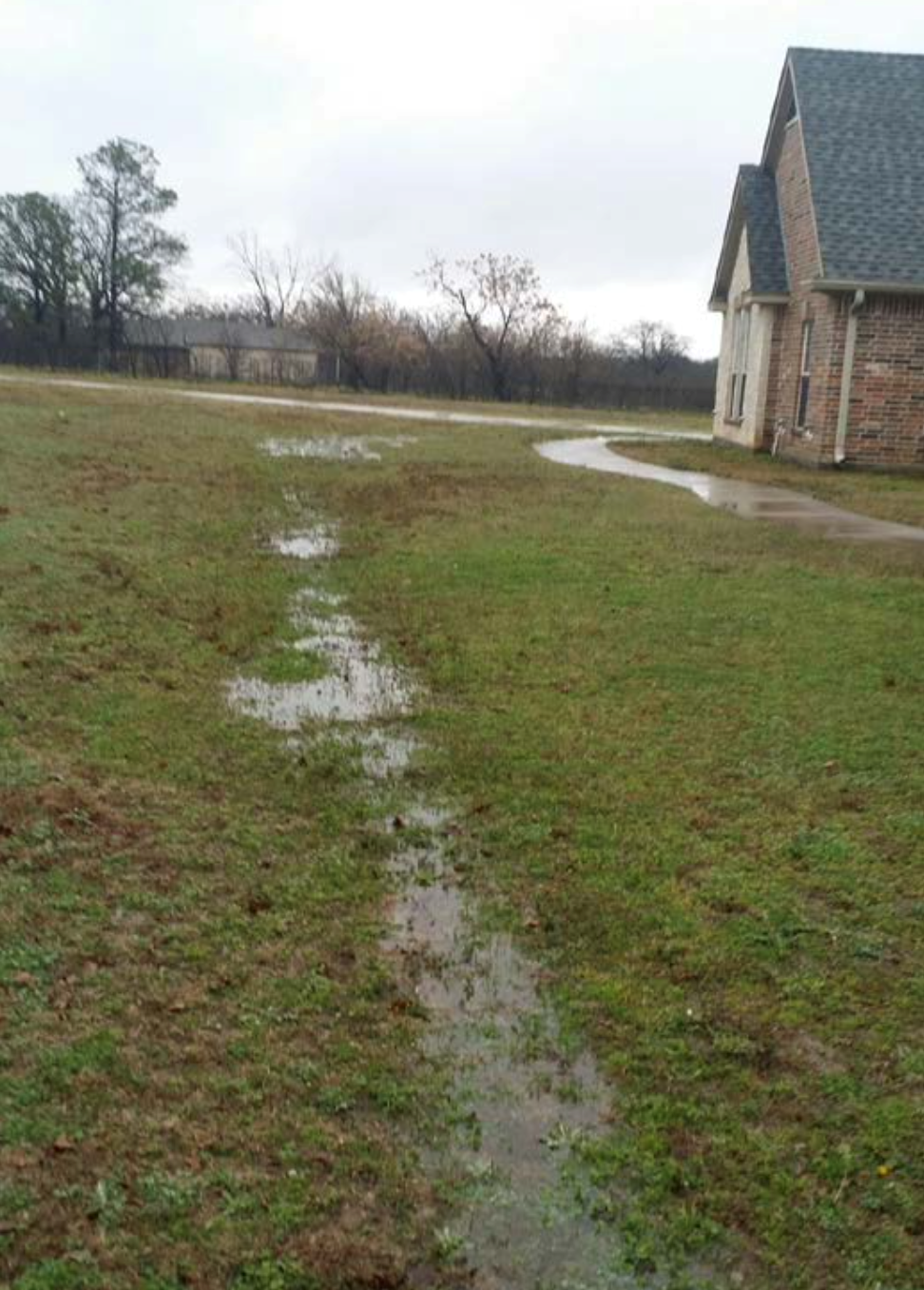 photo of a yard with flooded drain system