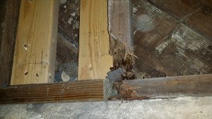 rotten wooden beam foundation